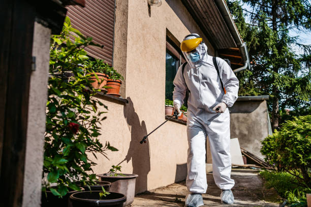 Best Pest Removal Services  in Parkwood, WA