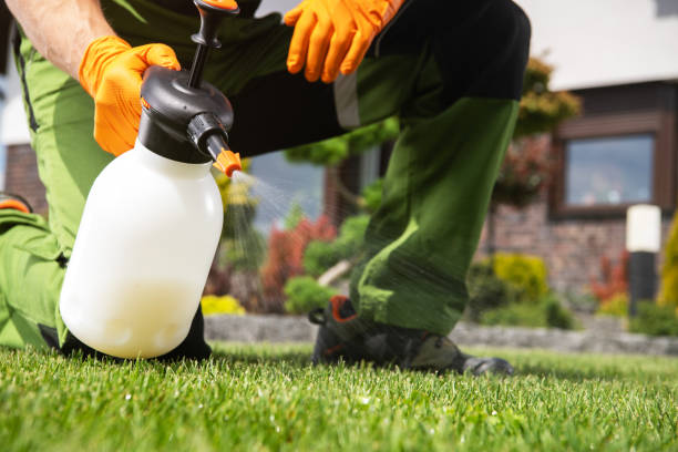 Flea Control Services in Parkwood, WA
